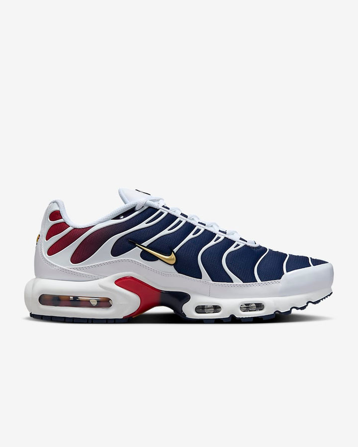 PSG Nike Air Max Plus