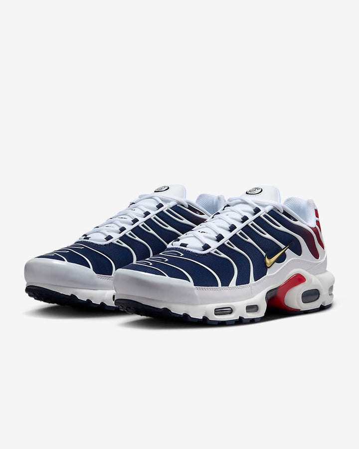 PSG Nike Air Max Plus